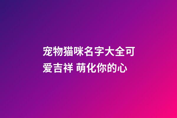 宠物猫咪名字大全可爱吉祥 萌化你的心